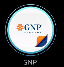 GNP